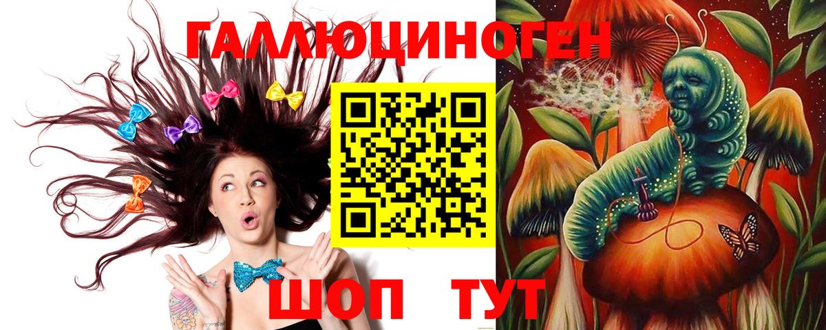Псилоцибиновые грибы Psilocybe Родники